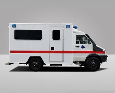 ve&iacute;culo off-road (diesel)